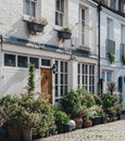 Typical mews house in London, UK, may plant pots by the entrance