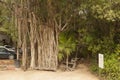 Typical Mexican landscape of the Yucatan Mexico Royalty Free Stock Photo