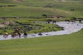 Typical mongolian landscape and steppe