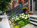 Typical Montreal neighborhood street with staircases Royalty Free Stock Photo