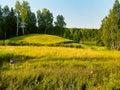 Typical mounds in summer Lithuania countryside. Famous formation to visit in tranquil countryside Baltics