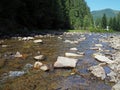 Typical mountain river in the Ukrainian Carpathians Royalty Free Stock Photo