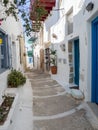 A typical narrow alley of Astypalaia island