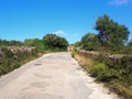 Typical narrow country road in menorca surrounded by old dry stone walls with surrounding fields and trees with a bright blue su