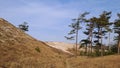 Typical natural landscape of Curonian spit, Lithuania Royalty Free Stock Photo