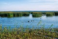 Typical nature of Belarus. Lake Dryvyaty. Belarus Royalty Free Stock Photo