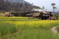 Typical Nepali village with mustard fields from Gorkha Nepal