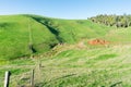 Typical New Zealand farmland in rolling countryside