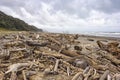 Typical of New Zealand is the many driftwood on the beaches Royalty Free Stock Photo