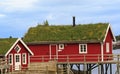 Typical Norwegian red fishing huts rorbu with green grass roof in town of Reine on Lofoten Islands Royalty Free Stock Photo