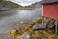 Typical norwegian red houses Rorbu in Lofoten village