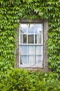 Typical old irish window with wall covered in ivy Ireland Royalty Free Stock Photo