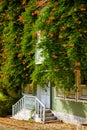 The house wreathed with Campsis creeper on the Street of the Cold Fountain Royalty Free Stock Photo