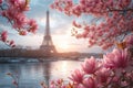 Typical Parisian postcard view of pink magnolia flowers in full bloom on a backdrop of French cityscape. Early spring in Paris,