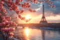 Typical Parisian postcard view of pink magnolia flowers in full bloom on a backdrop of French cityscape. Early spring in Paris,