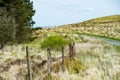 Typical pastures and farmlands of Ireland. Beautiful Irish countryside with green fields and meadows. Rural landscape Royalty Free Stock Photo