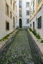 Typical paved street in Lisbon Royalty Free Stock Photo