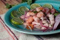 Typical Peruvian food, ceviche. Rustic presentation on a colored plate. Popular, ethnic food concept