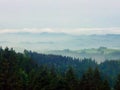 Fog between the forests at dawn. Black Forest. Germany.