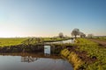 Dutch polder landscape in the Alblasserwaard regio Royalty Free Stock Photo