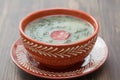 Typical portuguese soup caldo verde in ceramic dish