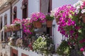 Typical pots with fusia flowers hanging on the balconies, Cordoba. Spain