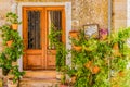 Spain Majorca, historical village Valldemossa with traditional flowers plants Royalty Free Stock Photo