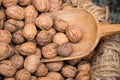 Walnut Typical products of Emilia Romagna