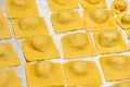 a typical recipe of Italian cuisine: emilian homemade tortelli plate stuffed with spinach and ricotta and covered with