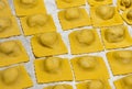 a typical recipe of Italian cuisine: emilian homemade tortelli plate stuffed with spinach and ricotta and covered with