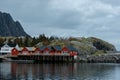 Typical red rorbu fishing huts with sod roof on Lofoten islands in Norway Royalty Free Stock Photo