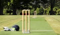 Typical regional country cricket ground Royalty Free Stock Photo