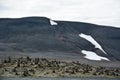 Typical ring road view with many rock stacks and snowy mountain without any cars and people in Iceland in summer,