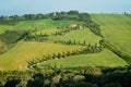 Typical road lined with cypress trees in Tuscany, Italy