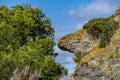 Typical rocks and vegetation of the island of Gorgona, Livorno, Italy