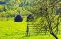 Typical Romanian piles of haystack on the field near Botiza Romania Royalty Free Stock Photo