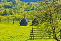 Typical Romanian piles of haystack on the field near Botiza Romania Royalty Free Stock Photo