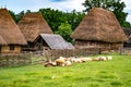 Typical Romanian village with old peasant houses Royalty Free Stock Photo