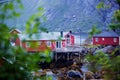 Typical Rourbuer fishing cabins in Lofoten village Nusfjord on a rainy day, summertime. Traditional norwegian wooden house