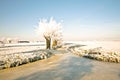 Typical rural dutch landscape in winter