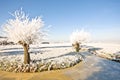 Typical rural dutch landscape in winter