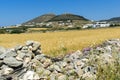 Typical Rural landscape near town of Parakia, Paros island, Greece Royalty Free Stock Photo