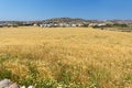 Typical Rural landscape near town of Parakia, Paros island, Greece Royalty Free Stock Photo
