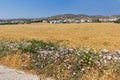 Typical Rural landscape near town of Parakia, Paros island, Greece Royalty Free Stock Photo