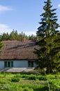 Rural house with green trees in Poland