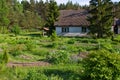 Rural house with green trees in Poland