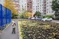 A typical Russian yard in an ordinary neighborhood, Zhukovsky, Moscow region, Russia, Europe