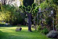 Typical rustic idyllic courtyard garden with wooden armchair