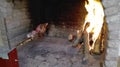 Sardinian piglet in cooking