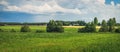 Typical scandinavian countryside in summer Royalty Free Stock Photo